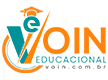 voin-logo-mini-66d217333c5da